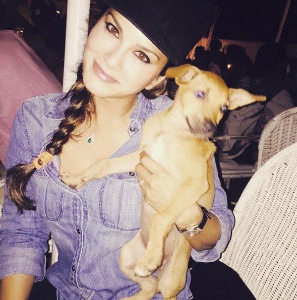 Zee Cinema :- 'Awww' pic of the day - @SunnyLeone with this cute puppy! -twitter