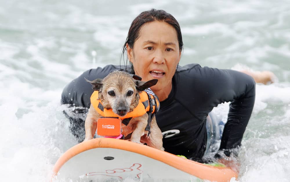 Kihei, a thirteen-year-old rescue dog and his owner Jill Nakano, of Long Beach, compete in the Purina Pro Plan Incredible Surf Dog Competition at Huntington Beach State Park in Huntington Beach, Calif.