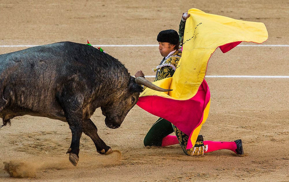 Bullfighter Manuel Escribano performs with a bull during a bullfight at Las Ventas bullring in Madrid, Spain.