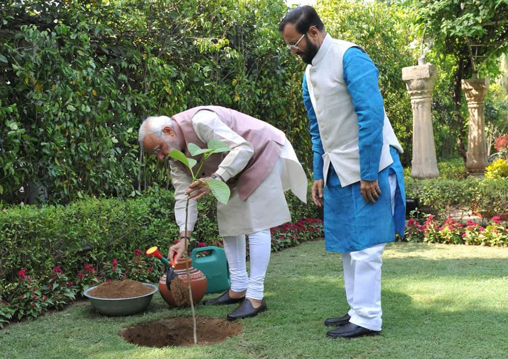 Narendra Modi ‏:- Planted a Kadam Tree at 7RCR on #WorldEnvironmentDay   -twitter