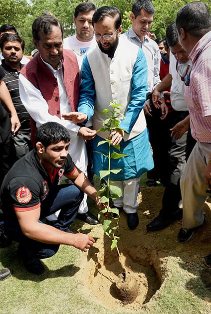 Wrestler Sushil Kumar plants a sapling during a tree plantation programme on the occasion of the World Environment Day in New Delhi.