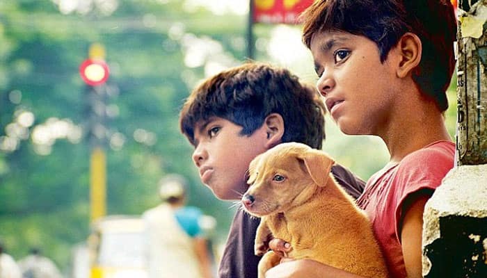 &#039;Kaaka Muttai&#039; takes the box office by storm