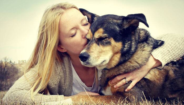 Dogs snub people who are mean to their owners: Study
