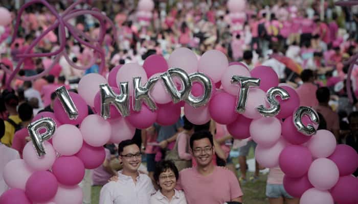 Singapore gay-rights rally draws record crowd: Organisers