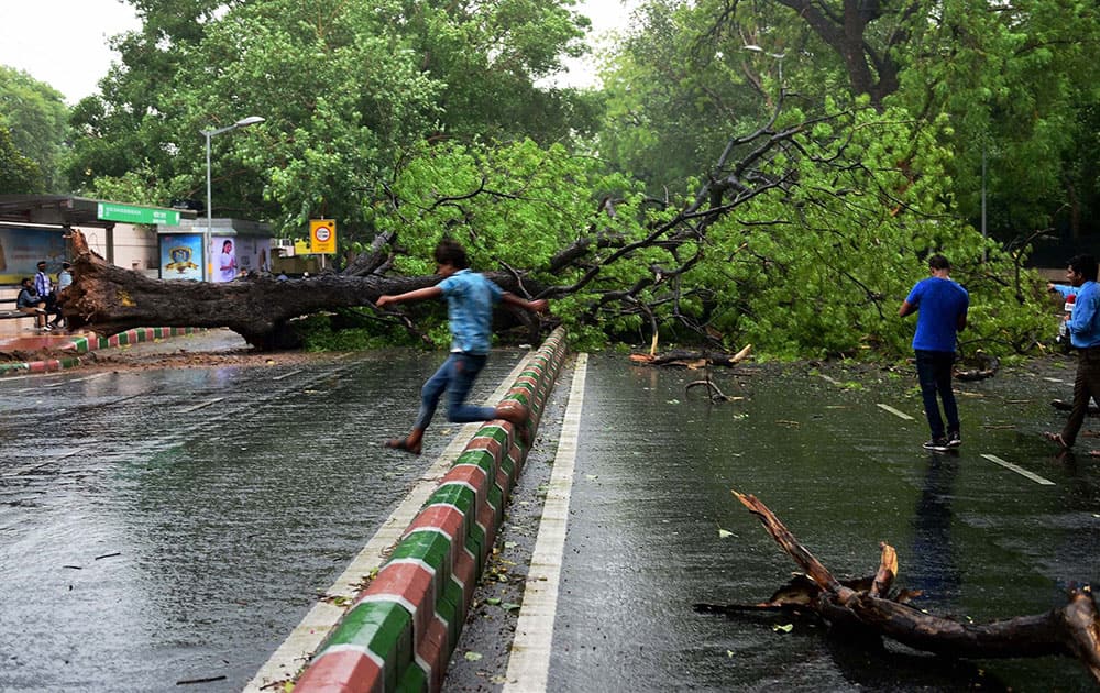 A tree falls on a road during a storm accompanied by shower in New Delhi.