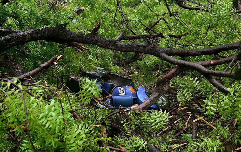 A scooter is crushed under a fallen tree at a road during a storm in New Delhi.