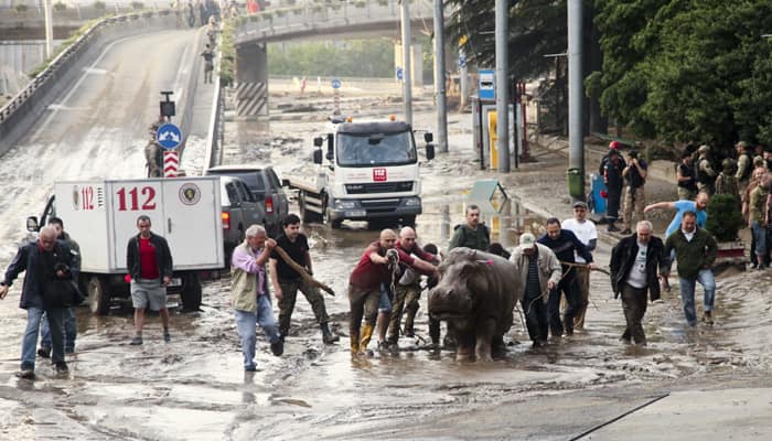 20 missing and zoo tigers still on loose after Georgia floods