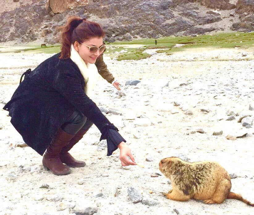 URVASHI RAUTELA :- Each & every animal on earth has as much right to be here as you and me #loveanimals -twitter