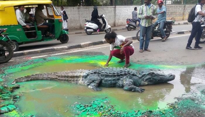 Bengaluru shocked as &#039;crocodile&#039; found in a pot hole!