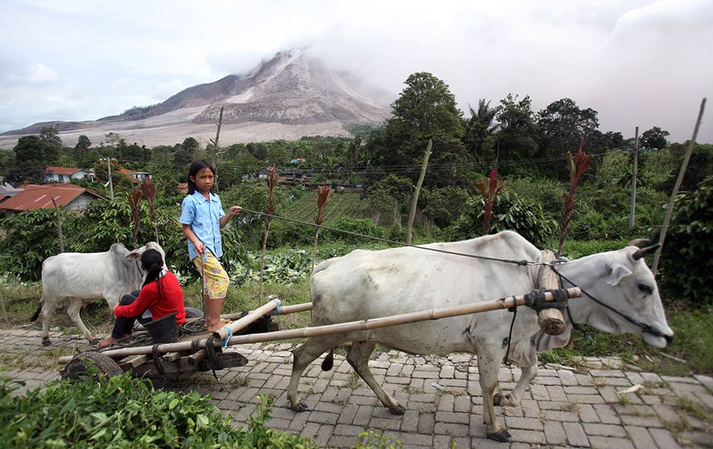 A young girl drives a cow cart as Mount Sinabung is seen spewing volcanic smoke, in Tiga Serangkai, North Sumatra, Indonesia.