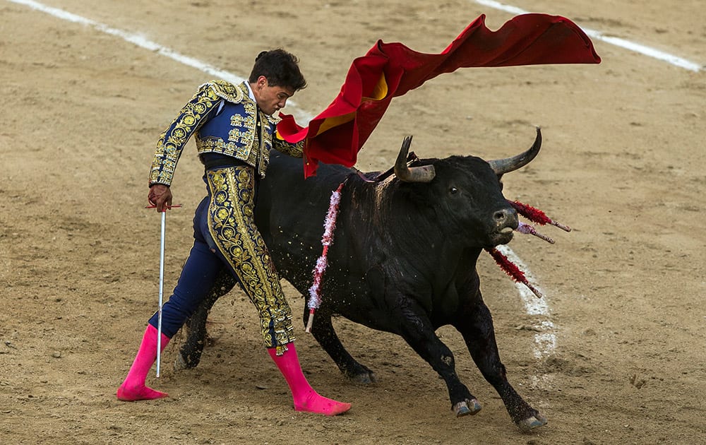 Bullfighter Alberto Escudero performs barefoot after he was tossed by the fighting bull during a bullfight at Las Ventas bullring in Madrid, Spain.