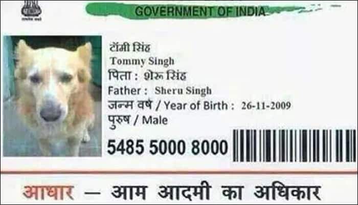 This dog in Madhya Pradesh got an Aadhaar card for itself