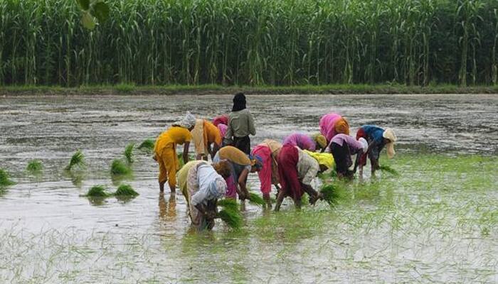 In most of rural India, Rs 5000 is the highest wage, says Socio-Economic and Caste Census 