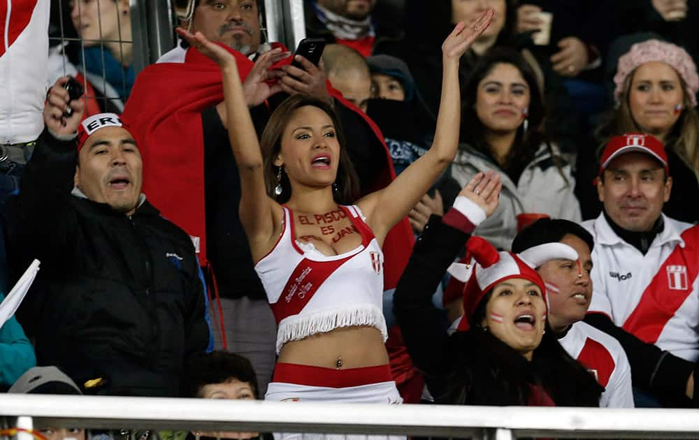 Supporters of Peru cheer on the stands during the soccer match against Paraguay for the third place of the Copa America at the Ester Roa Rebolledo Stadium in Concepcion, Chile.