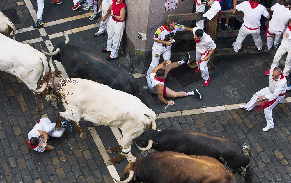 Revelers fall as Jandilla fighting bulls and steers run after them during the running of the bulls at the San Fermin festival, in Pamplona, Spain.