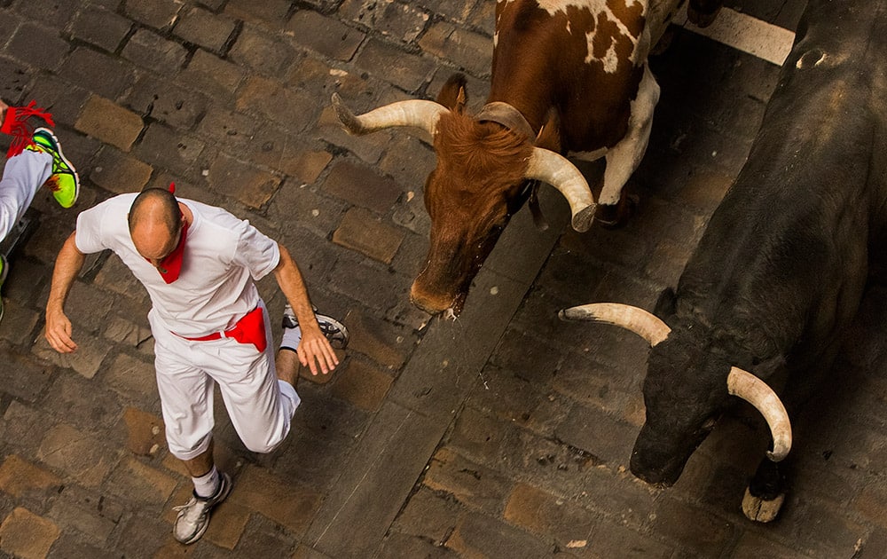 El Tajo y La Reina fighting bull, right, and a steer, centre, run after revelers during the running of the bulls, at the San Fermin festival, in Pamplona, Spain.