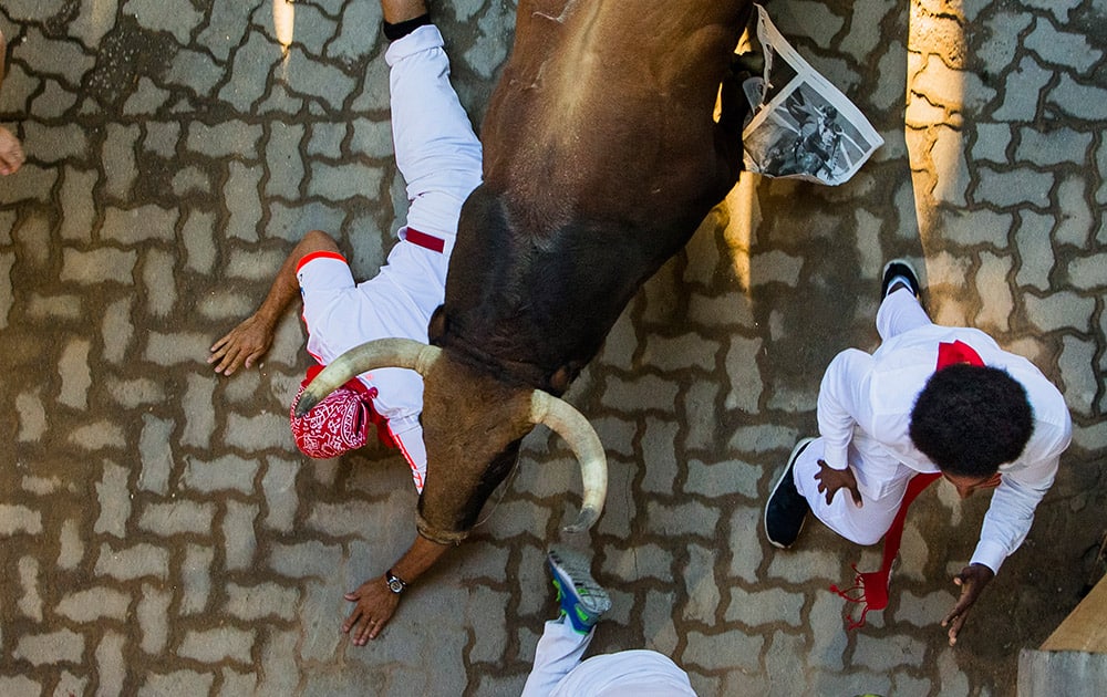 A Fuente Ymbro fighting bull runs over a reveler during the running of the bulls, at the San Fermin festival, in Pamplona, Spain.