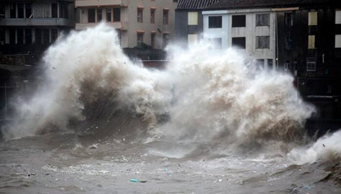 Typhoon grounds domestic flights in South Korea