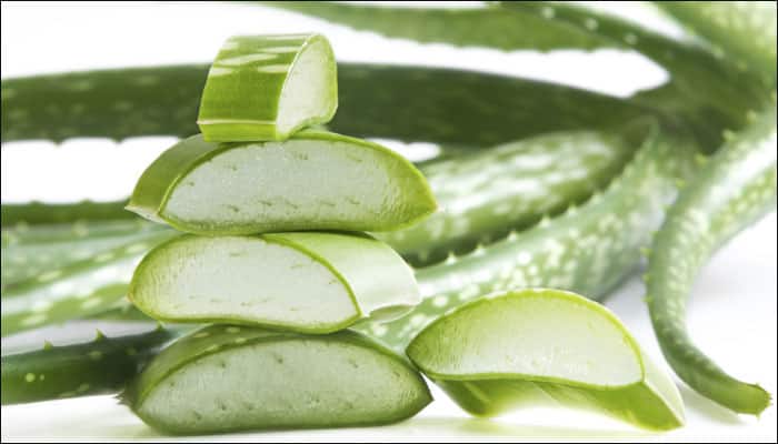 Nine Health Benefits Of Aloe Vera Healthy Eating News Zee News