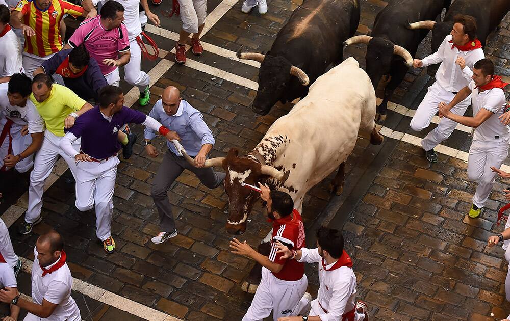 Participants touch the horn of a steer, center, while he runs alongside Estafeta street with Conde de la Maza fighting bulls during the sixth running of the bulls, at the San Fermin Festival, in Pamplona, Spain.