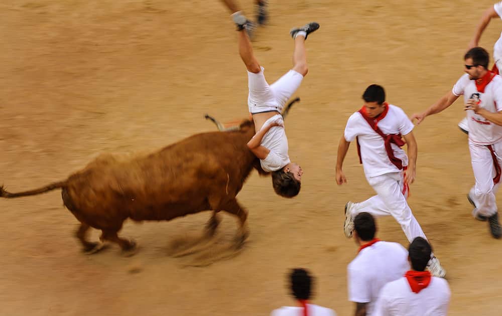 A reveler is pushed by a cow during a cow's show in the bull ring at the San Fermin Festival in Pamplona, Spain.