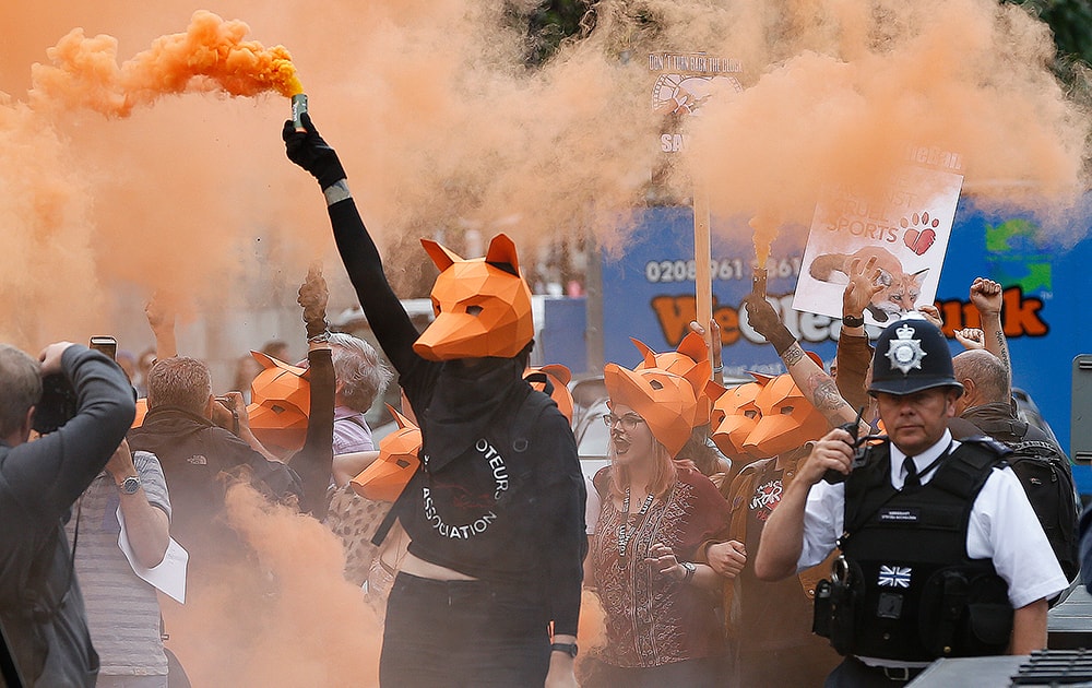 Protestors dressed as foxes demonstrate in front of the Houses of Parliament in London