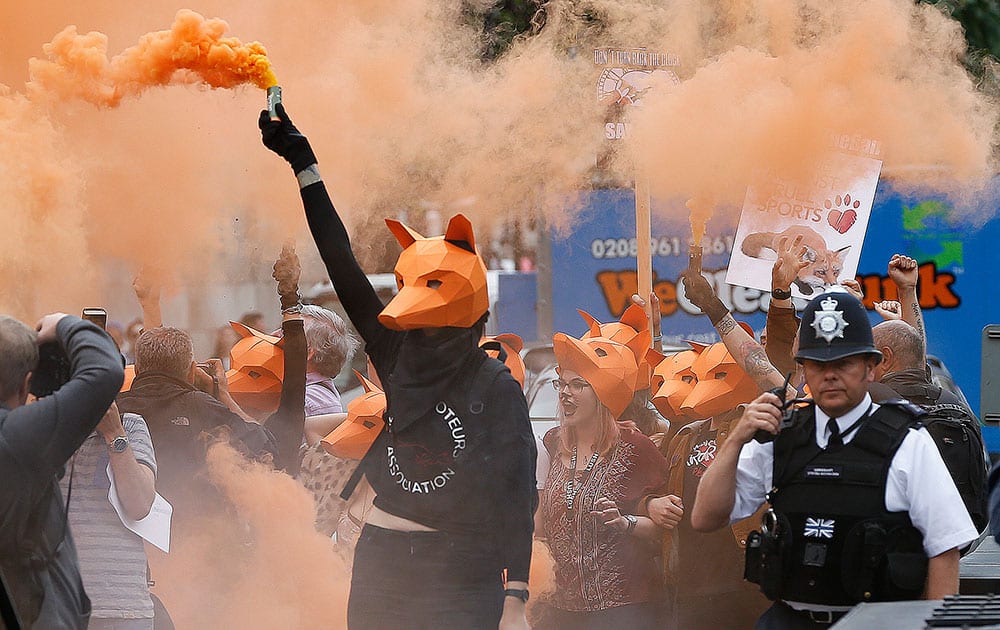 Protestors dressed as foxes demonstrate in front of the Houses of Parliament in London.