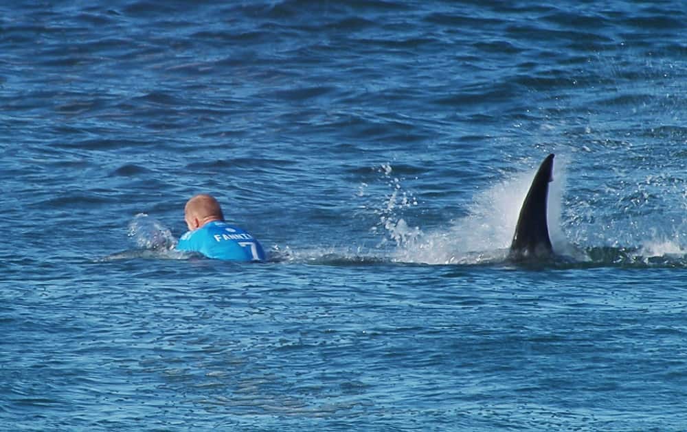 Australian surfer Mick Flanning is pursued by a shark, in Jeffrey's Bay, South Africa. Knocked off his board by an attacking shark, a surfer punched the creature during the televised finals of a world surfing competition in South Africa before escaping. 