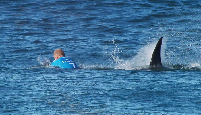 WATCH: Australian surfer Mick Fanning escapes unhurt after punching away shark
