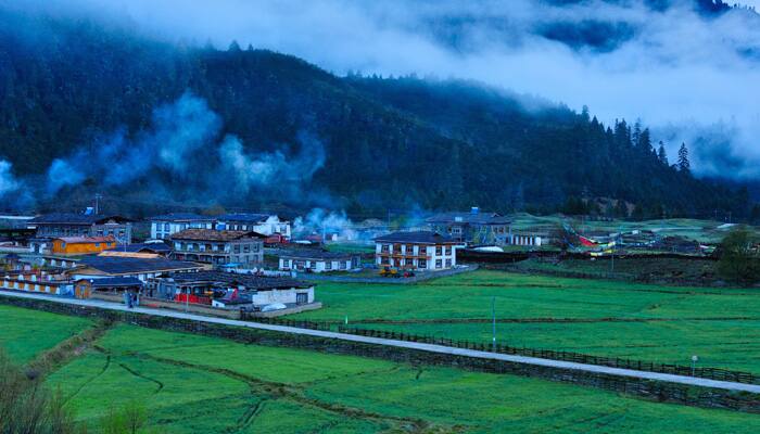 Of homestays and collecting mushrooms in the wild 