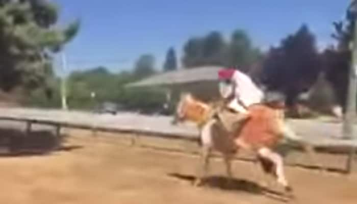 Watch: Sikh groom thrown off drugged horse during wedding procession