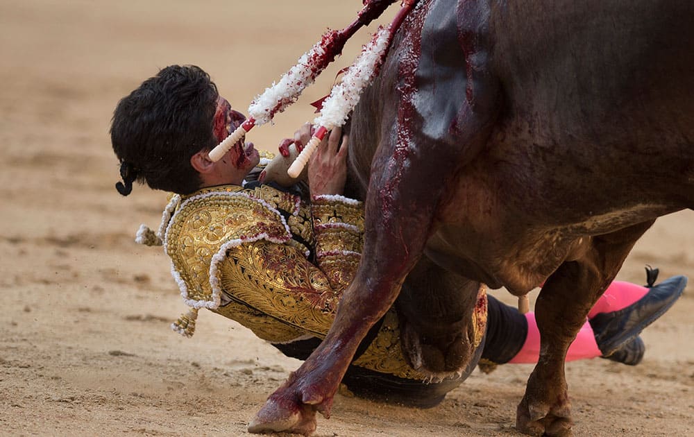 Spanish bullfighter Lorenzo Sanchez is gored by a Arauz de Robles's ranch fighting bull during a bullfight at Las Ventas bullring in Madrid, Spain.