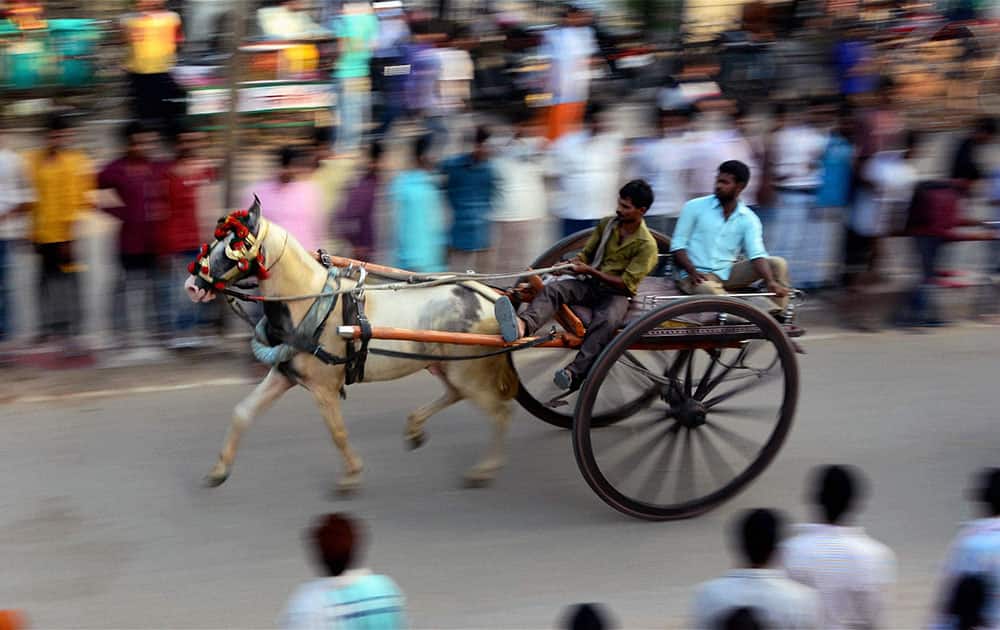 People watching horse-cart race in Allahabad.