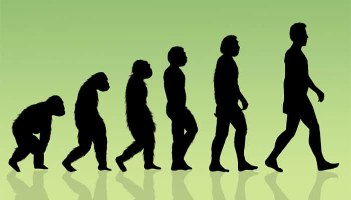 Increase in body size didn&#039;t drive human evolution: Study