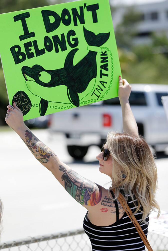 Nikki Sobel, 23, of Palm Beach Gardens, Fla., holds up a sign during a protest against Lolita the orca's decades-long captivity at the Miami Seaquarium.