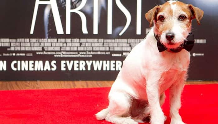 &#039;The Artist&#039; dog Uggie dies at 13