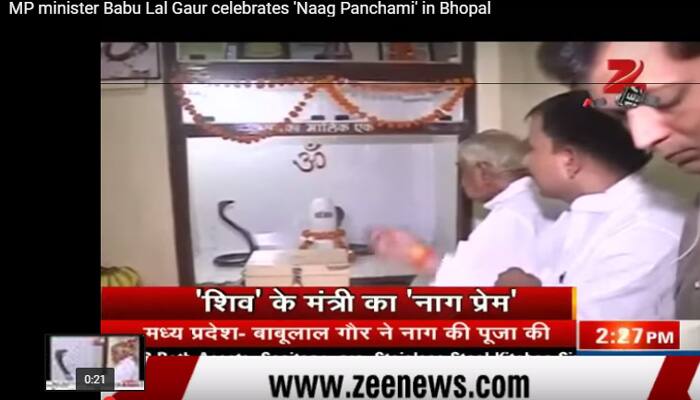 Watch: MP Home Minister Babulal Gaur worships live snakes on Naag Panchami