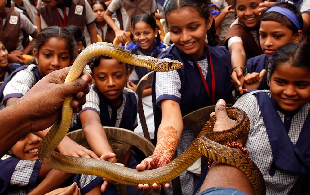 School children try to touch a snake during an awareness program on Naag Panchami festival in Mumbai.