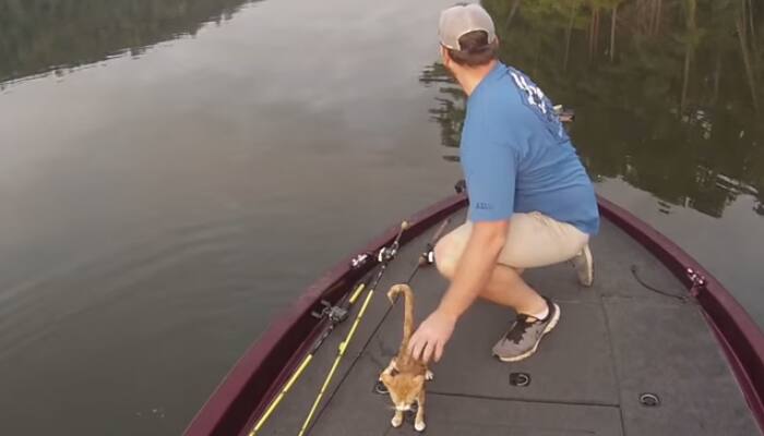 Watch: How two guys who went fishing ended up saving kittens