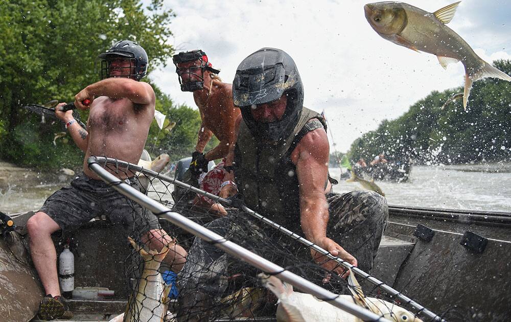 Larry Fulton, right, of Canton, brings in two Asian carp with Gene Carnes, left, of Bushnell and Larry Saunders, center, of Ocala, Fla. during the 10th annual 