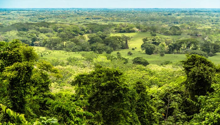 How ancient Maya activity led to environmental decline
