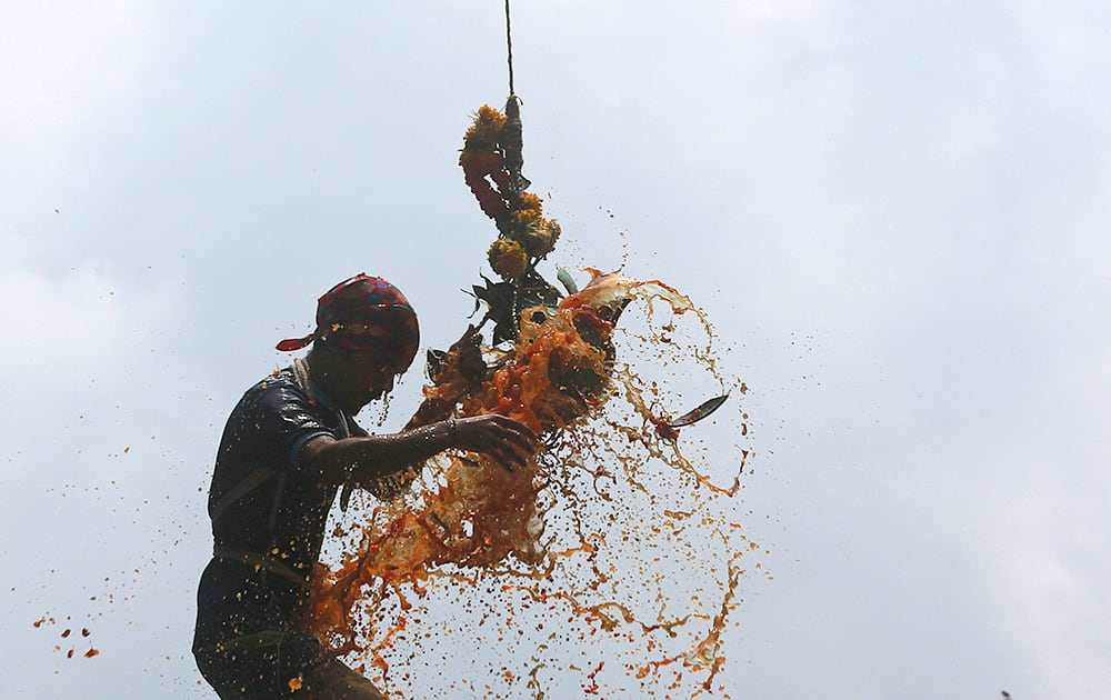 Colored curd spills as Indian youth form a human pyramid and break the 