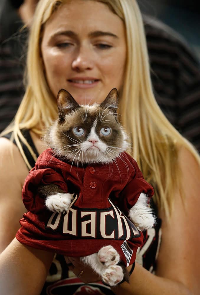 Owner Tabatha Bundesen holds Grumpy Cat, an Internet celebrity cat whose real name is Tardar Sauce, before a baseball game between the Arizona Diamondbacks and the San Francisco Giants.