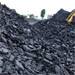 Coal India divestment on Friday; Govt eyes Rs 22,600 crore