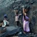 Govt nets Rs 22,557 crore from CIL stake sale; LIC biggest buyer Govt nets Rs 22,557 crore from CIL stake sale; LIC biggest buyer