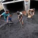 Coal auction: Balco, Jaiprakash Power, OCL Iron &amp; Steel bag 1 mine each