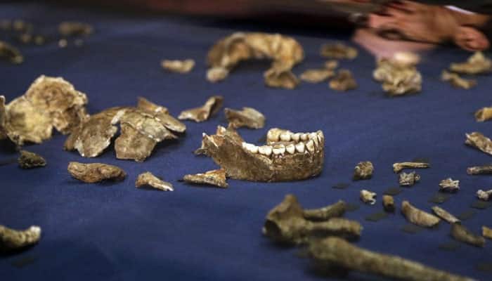 New species of human relative discovered in South Africa