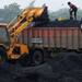 Coal auction Day 4: Jaypee Group, Gujarat Ambuja successful bidders