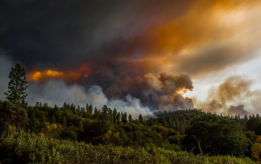 Smoke rises from a fire near Butte Mountain Road, 2015, near Jackson, Calif. Lions, tigers and other cats big and small are being evacuated as California's biggest wildfire continues to spread, possibly threatening the park where they live, officials said Thursday.