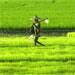 Centre pitches for affordable premium under crop insurance